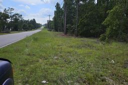 736 Bush Berry Road photo 4