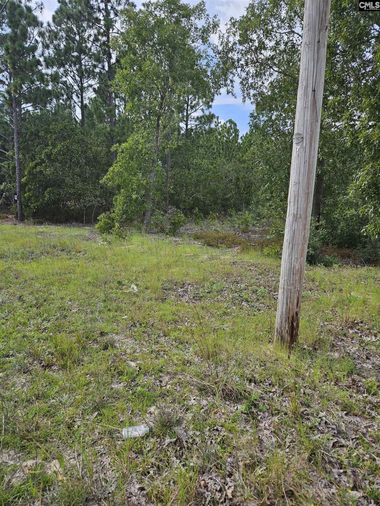 736 Bush Berry Road Photo 5