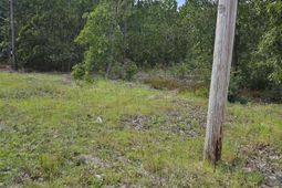 736 Bush Berry Road photo 4