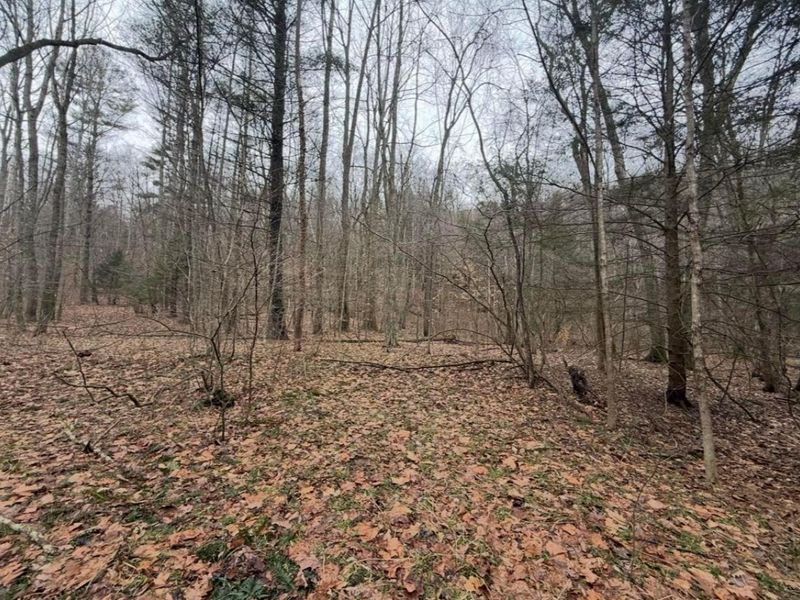 9261 Rich Hollow Road SW, Lancaster, OH 43130 Photo 101