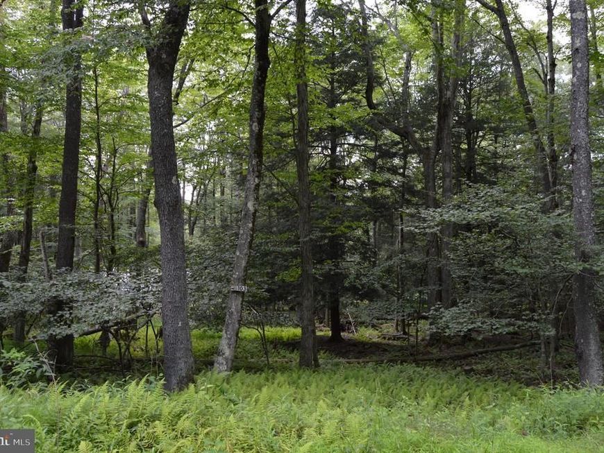 Lot 256 Azalea Ln, Terra Alta, WV 26764 Main Photo