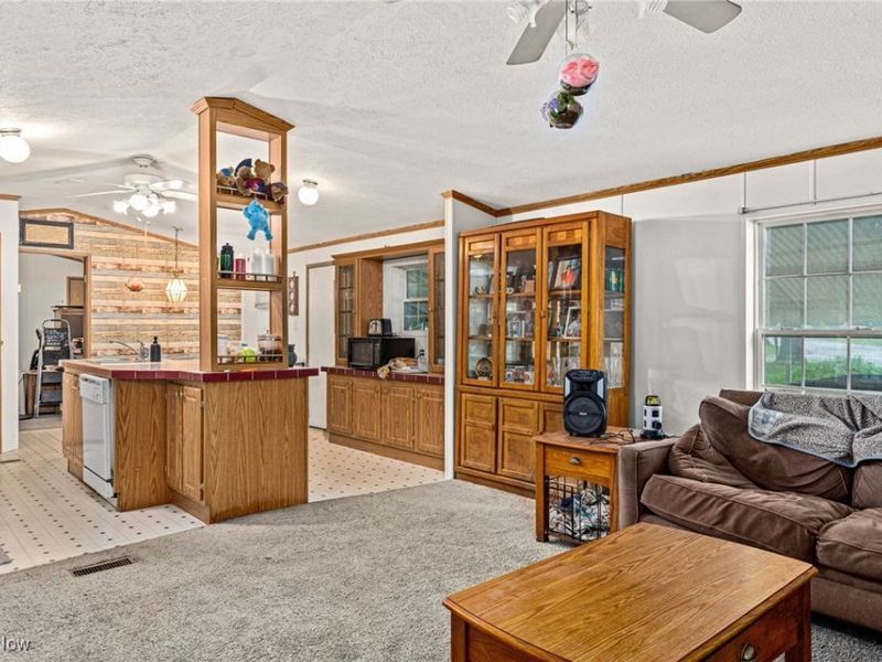 11 Brookins Drive, Olmsted Township, OH 44138 Photo 8