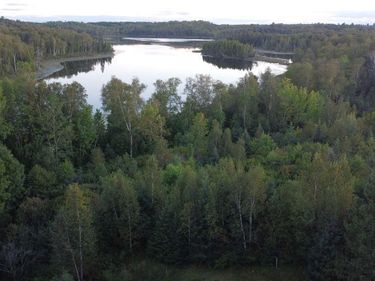 Parcel B E Gunn Lake Trail, Marcell, MN 56657