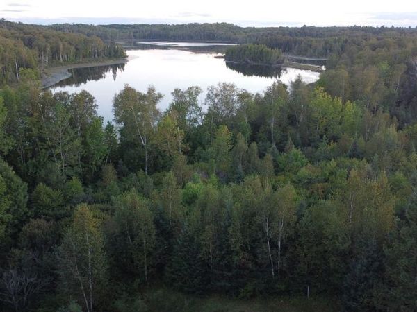 Parcel B E Gunn Lake Trail, Marcell, MN 56657