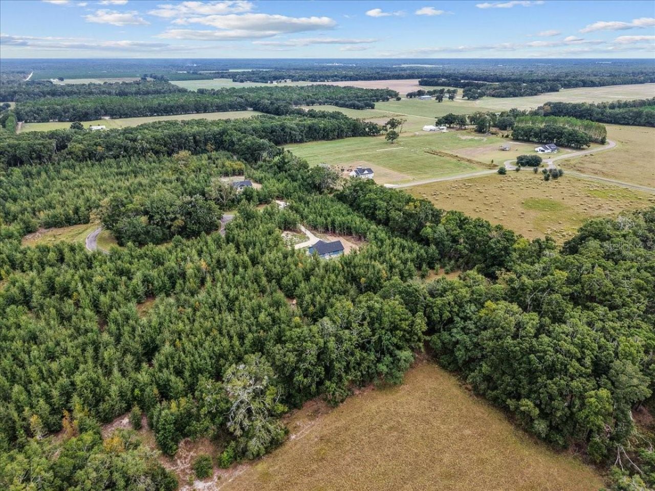 4899 NW 36th Street, Bell, FL 32619 Photo