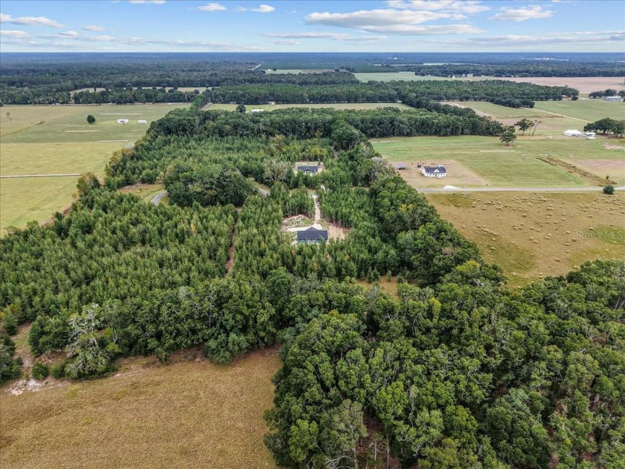 4899 NW 36th Street, Bell, FL 32619 Photo