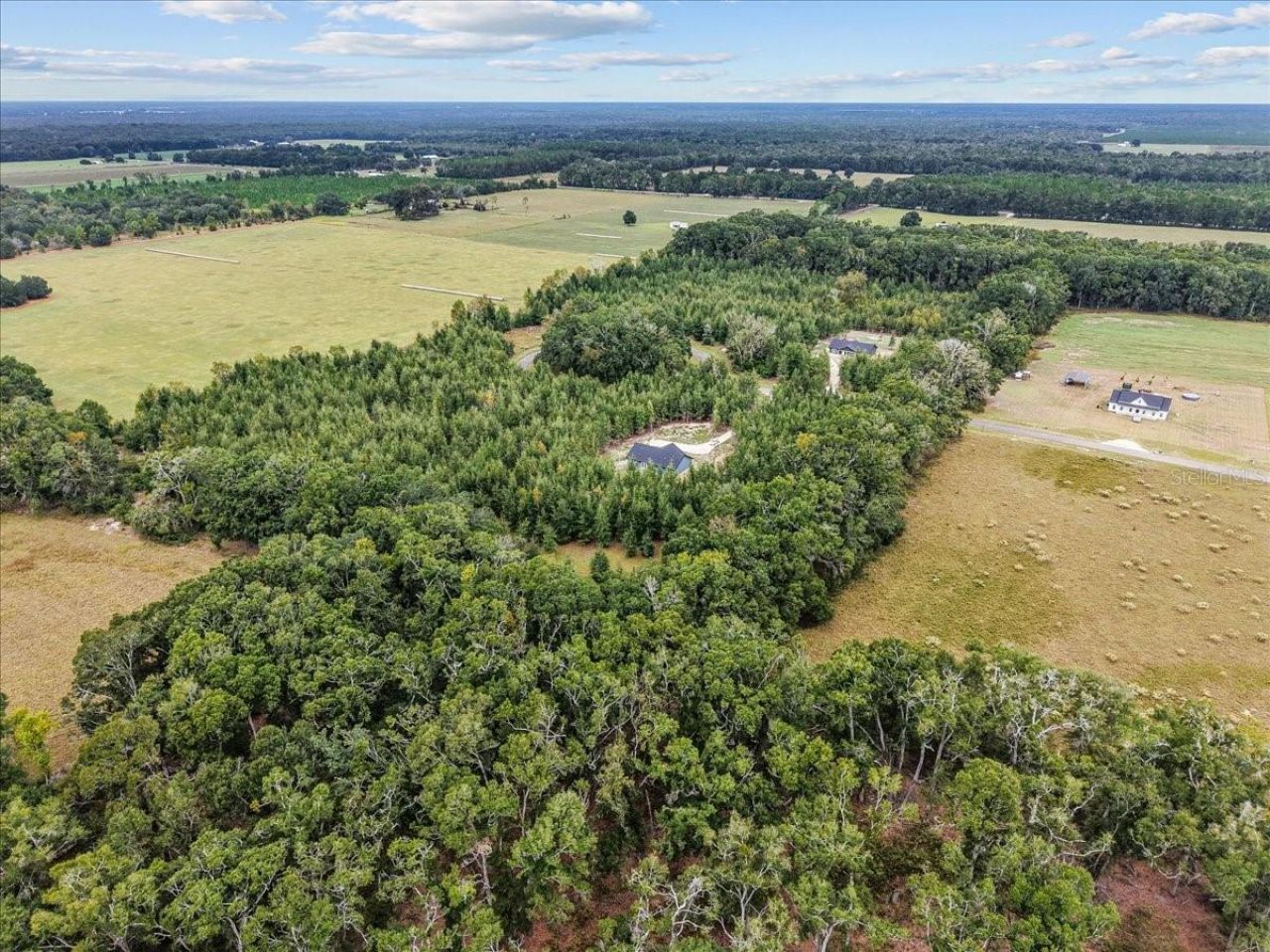 4899 NW 36th Street, Bell, FL 32619 Photo