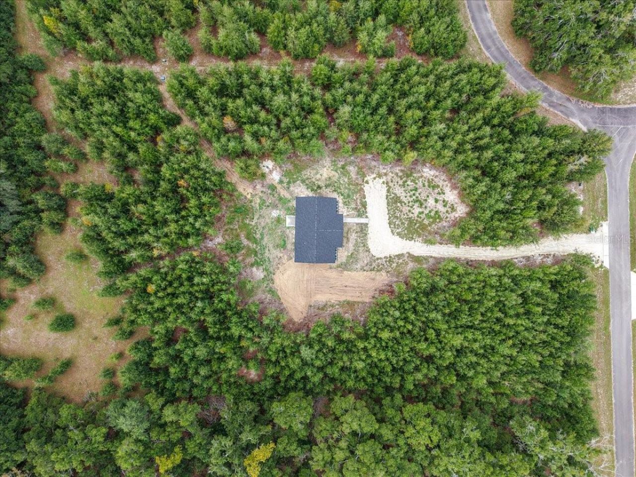 4899 NW 36th Street, Bell, FL 32619 Photo