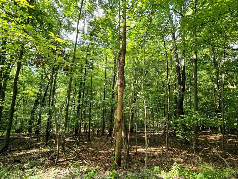 1756 Mohican Lane, Hideaway Hills, OH 43107 Photo 2