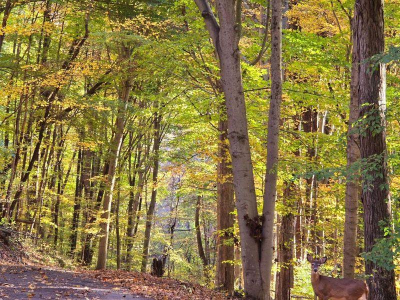 1756 Mohican Lane, Hideaway Hills, OH 43107 Photo 6