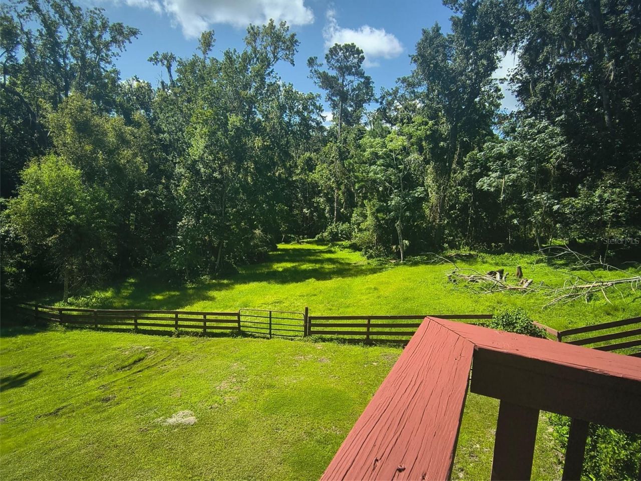 24050 Winding Creek Drive, Brooksville, FL 34601 Photo