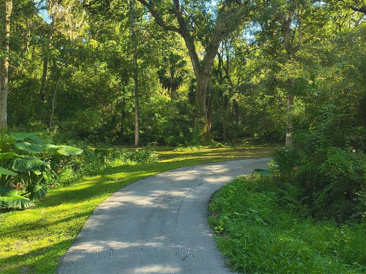 24050 Winding Creek Drive, Brooksville, FL 34601 Photo