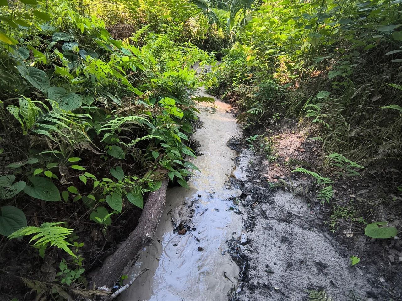 24050 Winding Creek Drive, Brooksville, FL 34601 Photo