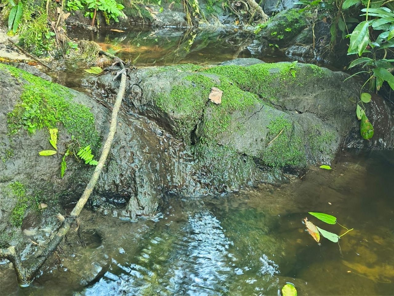 24050 Winding Creek Drive, Brooksville, FL 34601 Photo