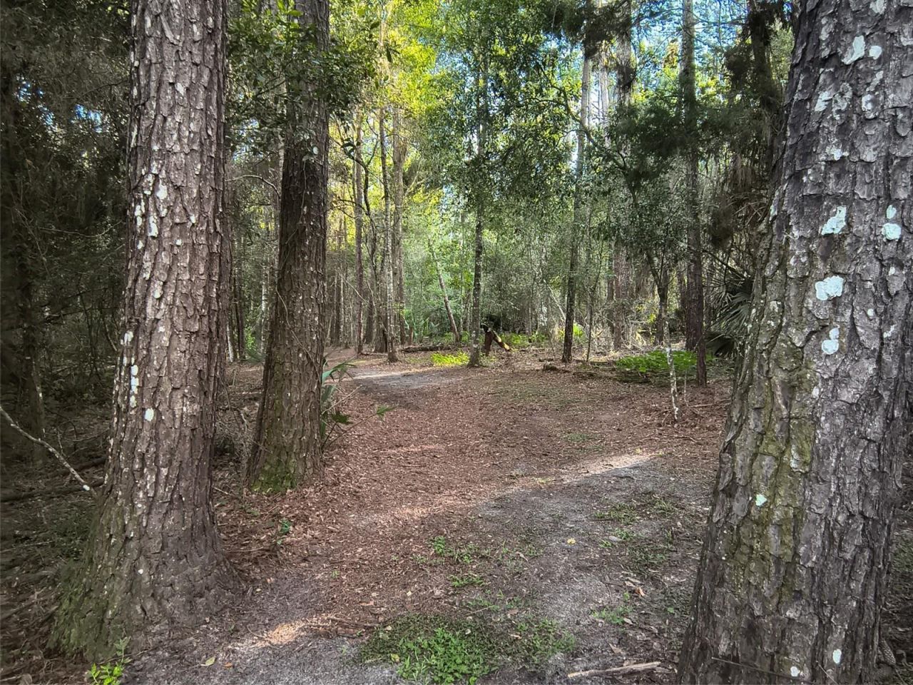 24050 Winding Creek Drive, Brooksville, FL 34601 Photo