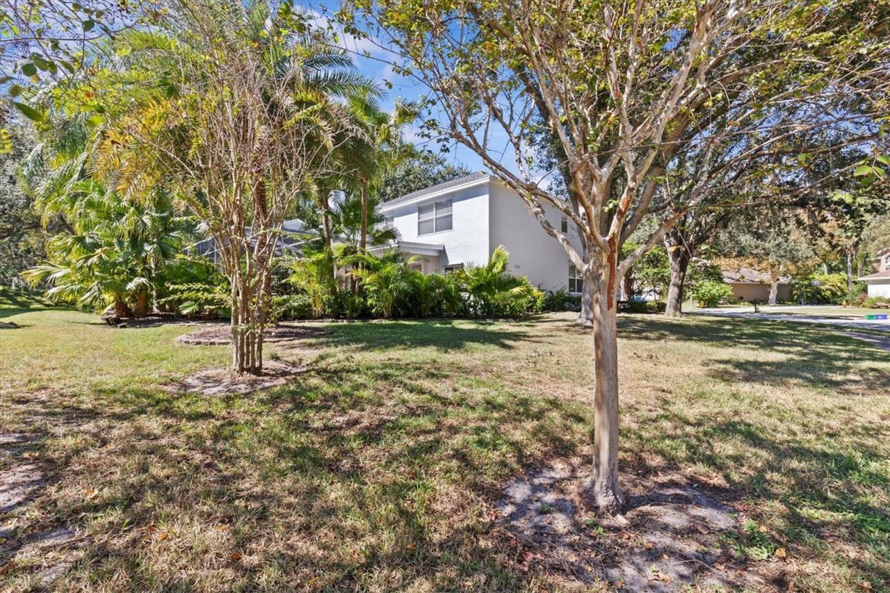 2328 Warwick Drive, Oldsmar, FL 34677 Photo