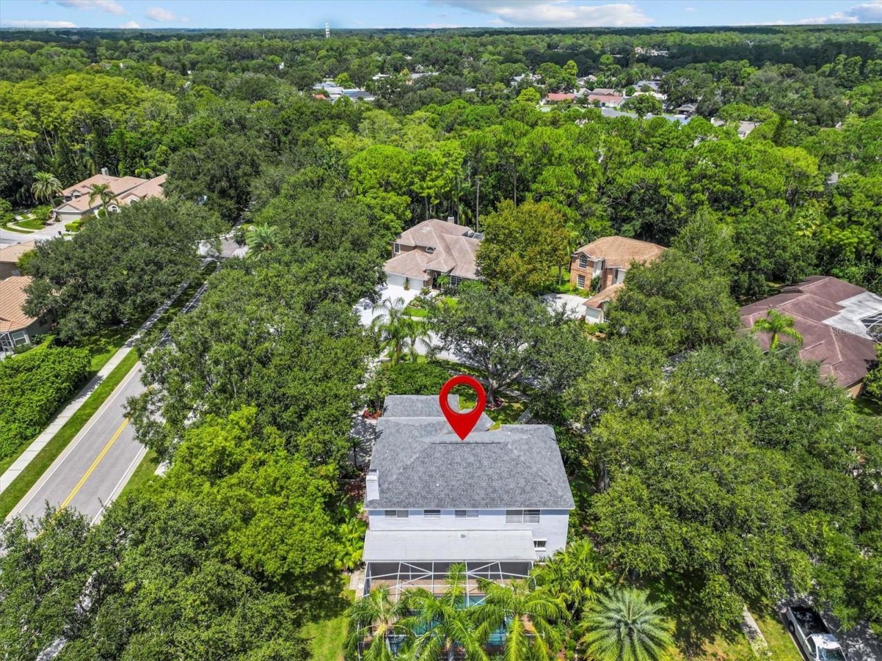 2328 Warwick Drive, Oldsmar, FL 34677 Photo