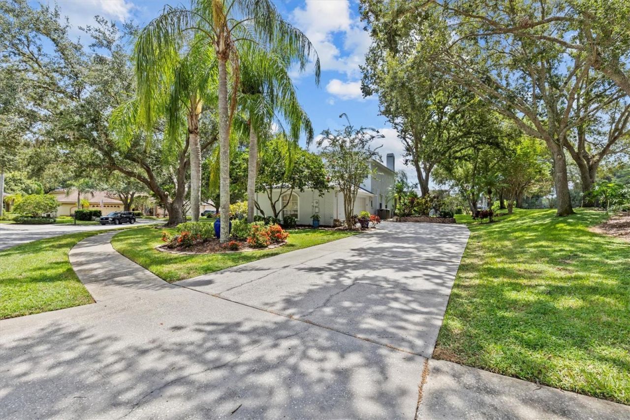 2328 Warwick Drive, Oldsmar, FL 34677 Photo
