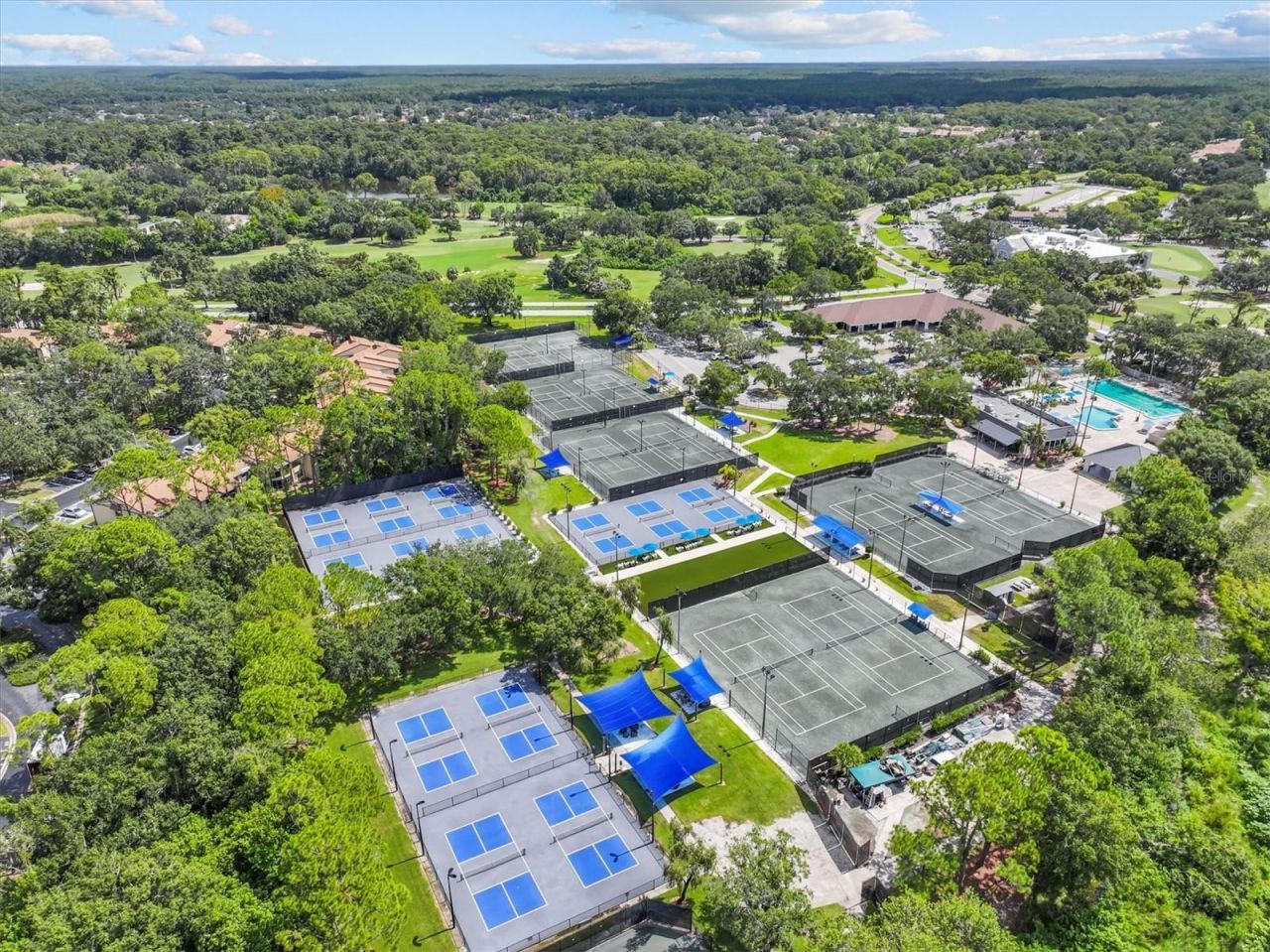 2328 Warwick Drive, Oldsmar, FL 34677 Photo