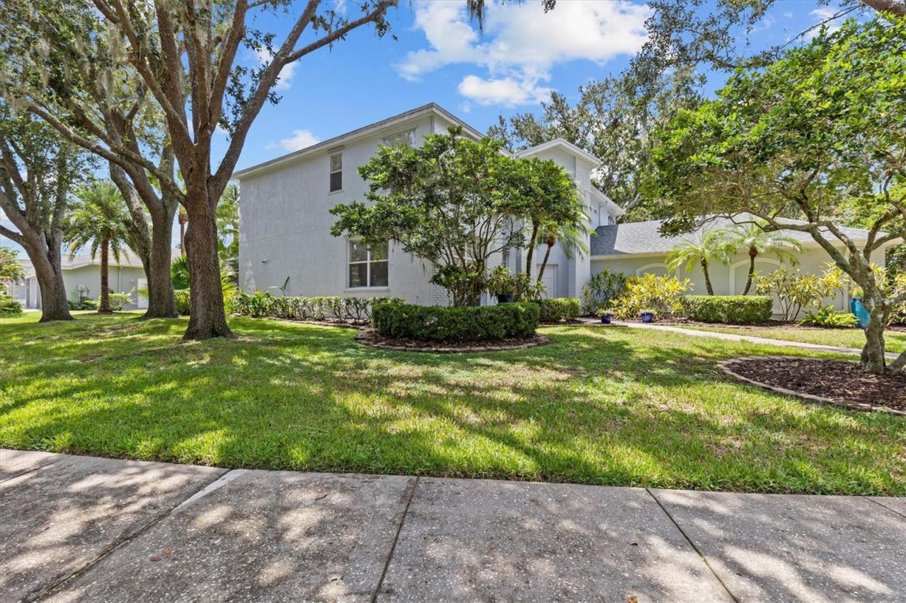 2328 Warwick Drive, Oldsmar, FL 34677 Photo