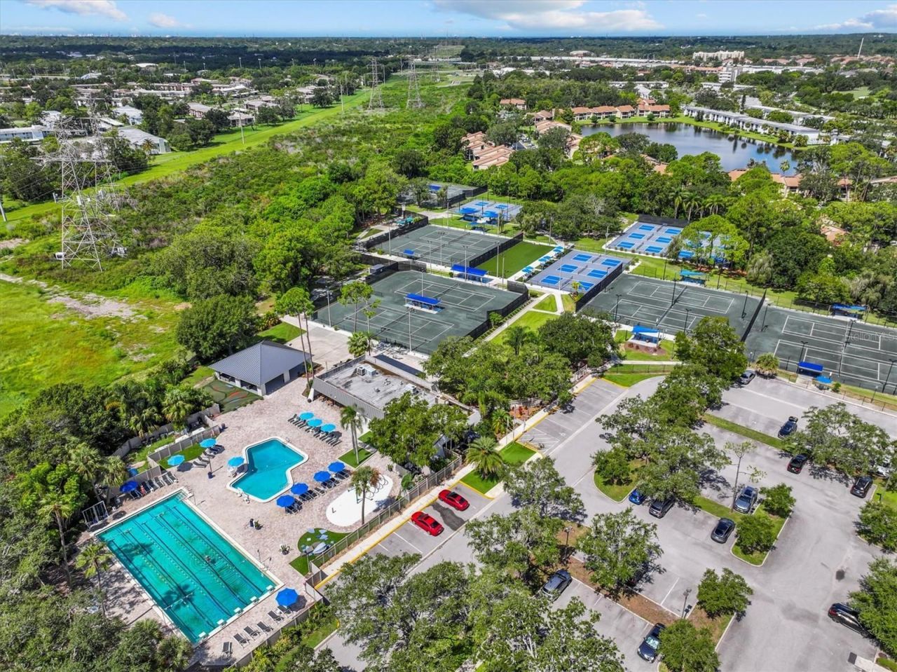 2328 Warwick Drive, Oldsmar, FL 34677 Photo