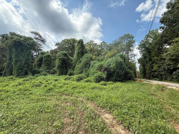 0 Lakeview Ave, Somerset, KY 42501