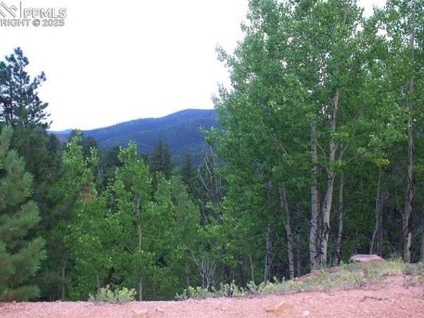 490 Grosbeak Circle, Divide, CO 80814
