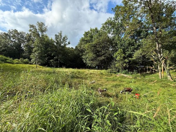 300 Lee Dr, Beaver Dam, KY 42320