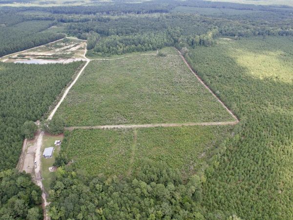 97.83 Acres-TBD Sugar Hill Fox Rd., Pamplico, SC 29583