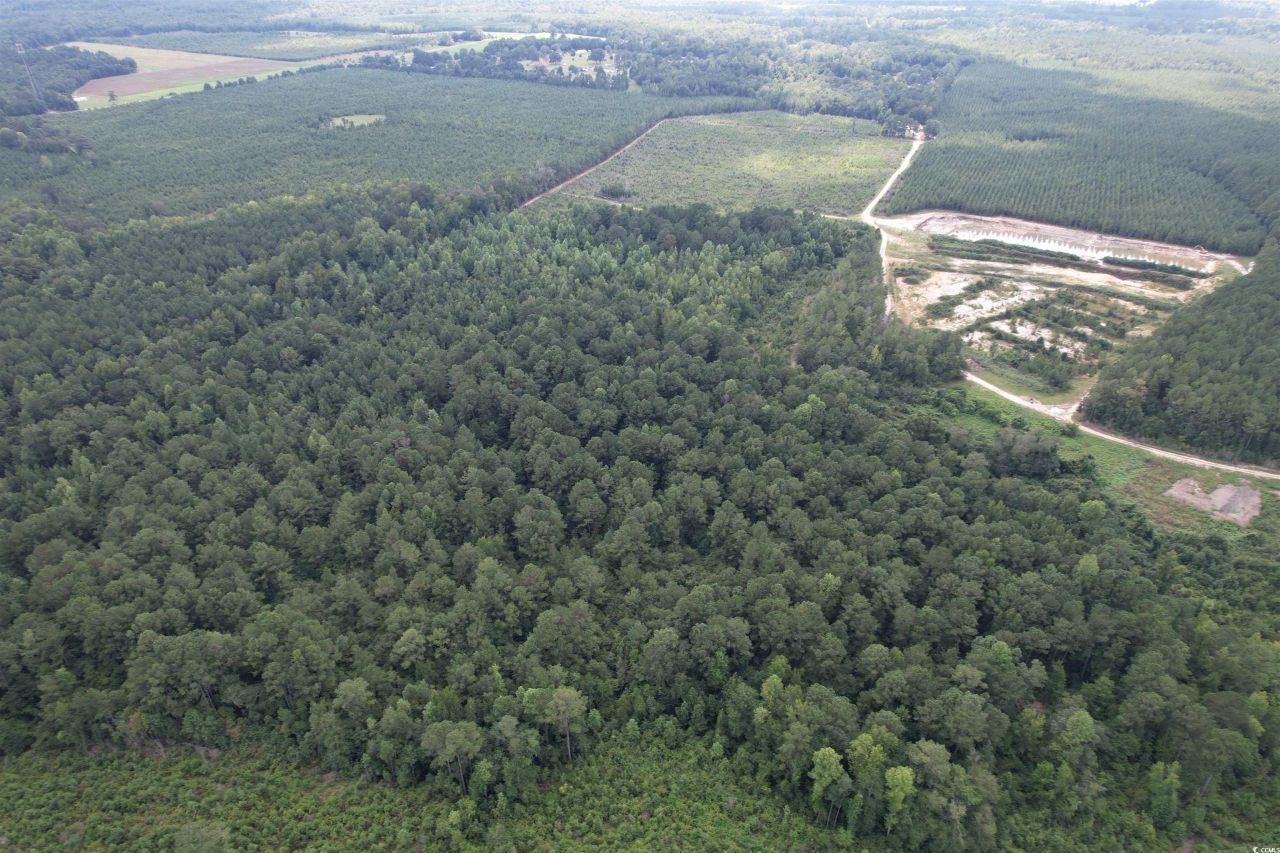 97.83 Acres-tbd Sugar Hill Fox Rd. Photo 11