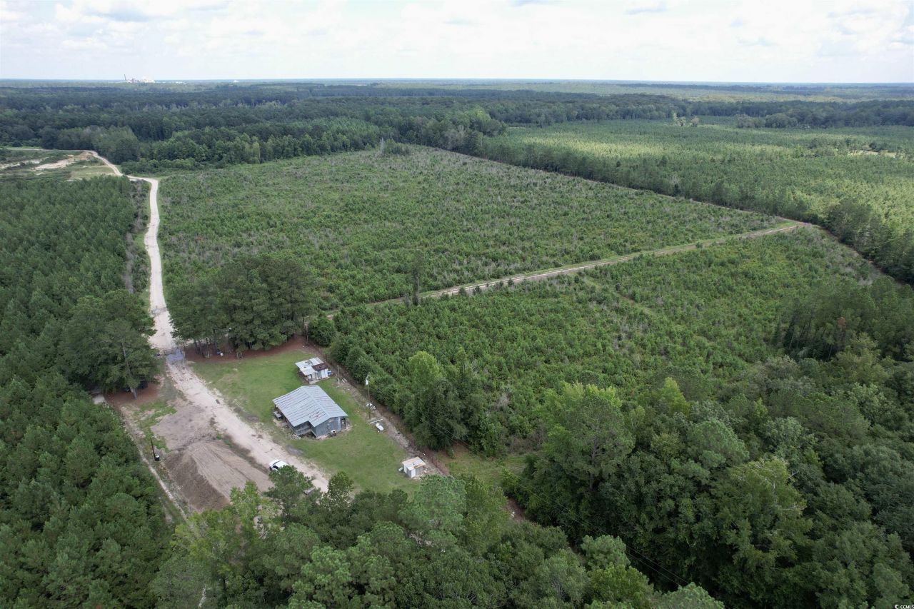 97.83 Acres-tbd Sugar Hill Fox Rd. Photo 12
