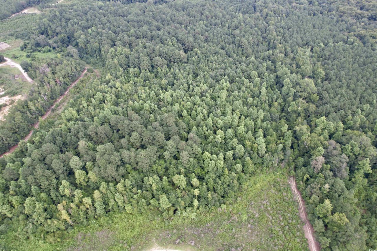 97.83 Acres-tbd Sugar Hill Fox Rd. Photo 13