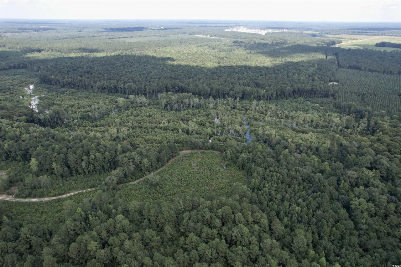 97.83 Acres-tbd Sugar Hill Fox Rd. Photo 14
