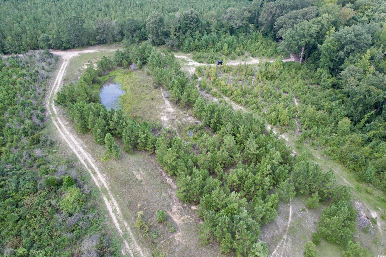 97.83 Acres-tbd Sugar Hill Fox Rd. Photo 15