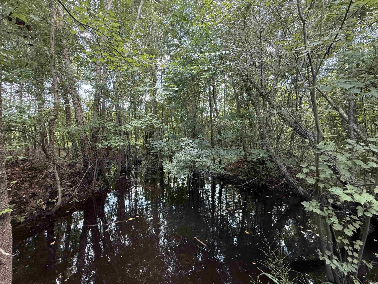 97.83 Acres-tbd Sugar Hill Fox Rd. Photo 17