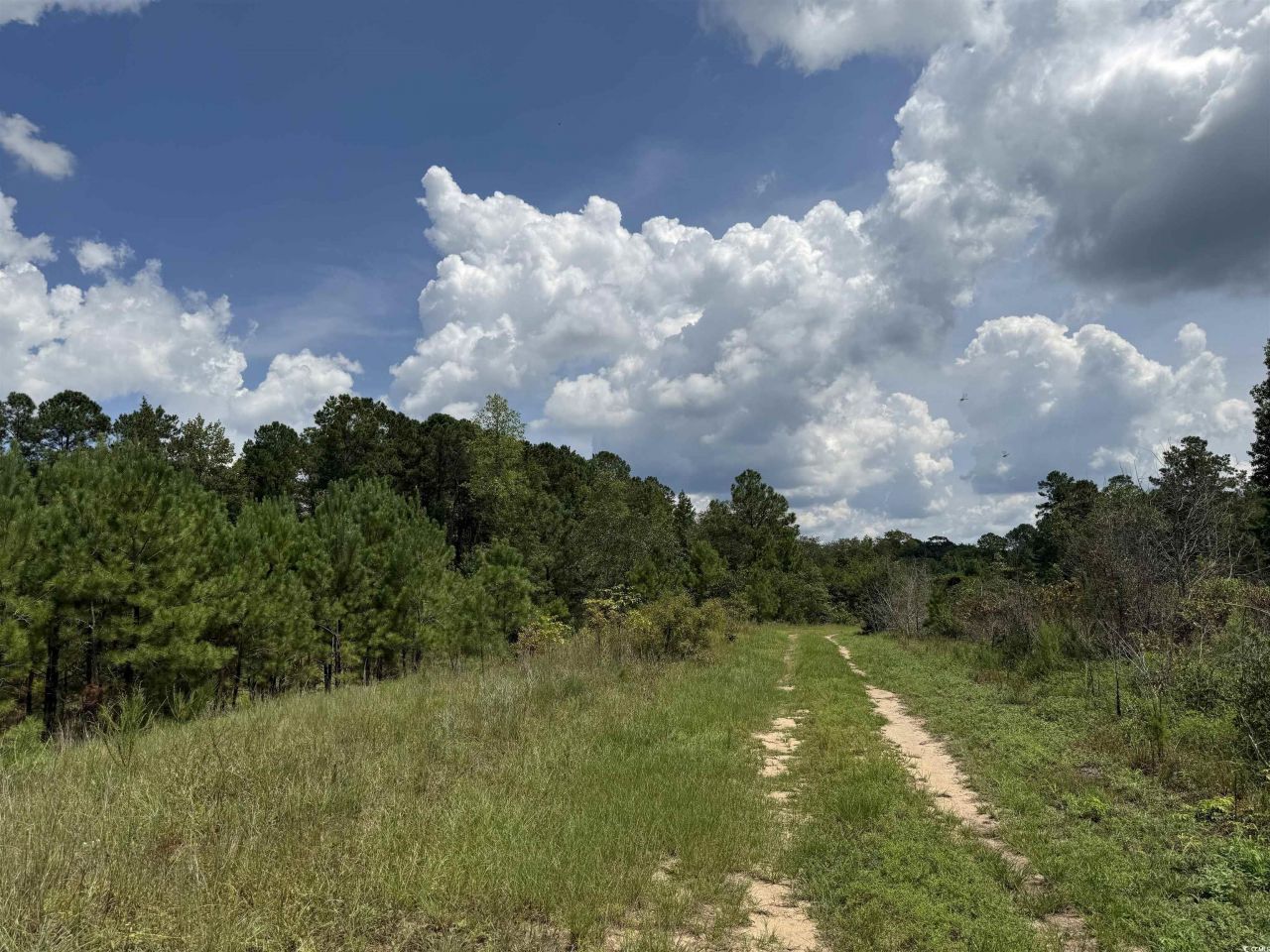 97.83 Acres-tbd Sugar Hill Fox Rd. Photo 19