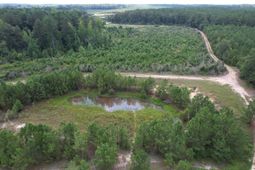 97.83 Acres-tbd Sugar Hill Fox Rd. photo 4