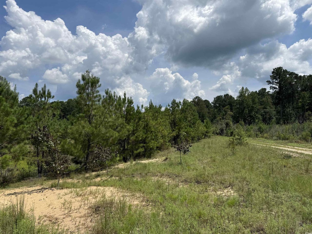 97.83 Acres-tbd Sugar Hill Fox Rd. Photo 20