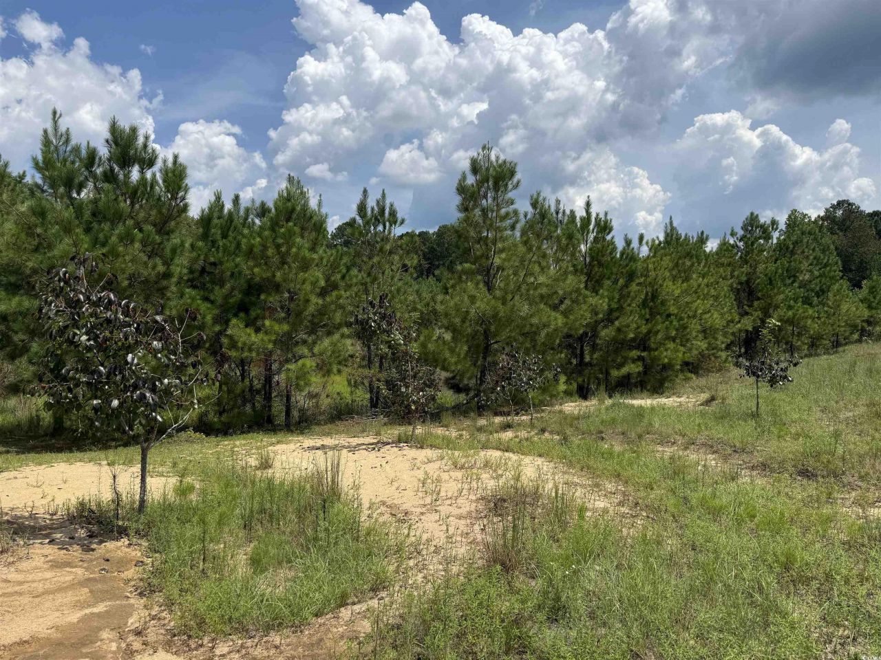97.83 Acres-tbd Sugar Hill Fox Rd. Photo 21