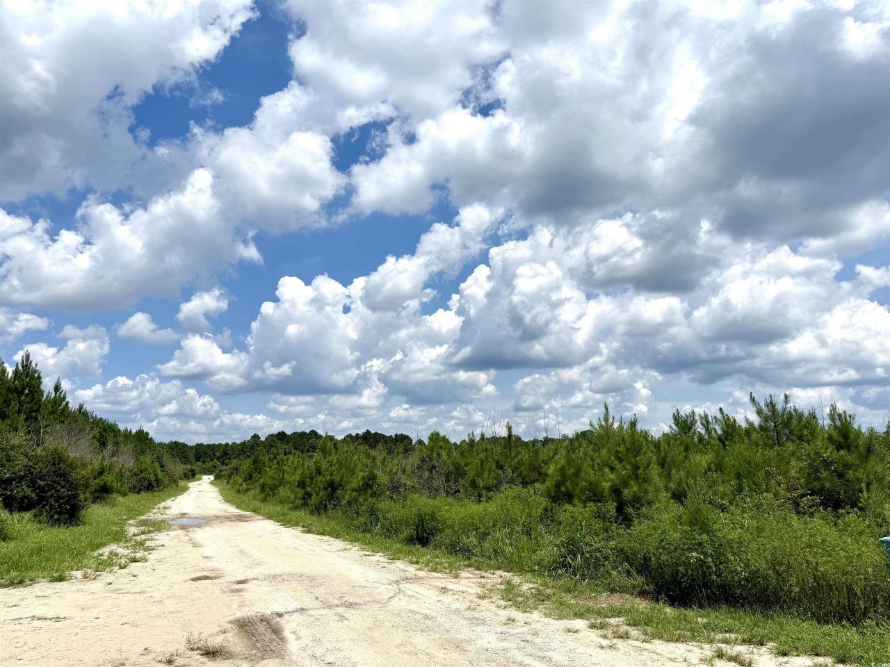 97.83 Acres-tbd Sugar Hill Fox Rd. Photo 23