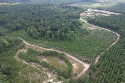 97.83 Acres-tbd Sugar Hill Fox Rd. photo 4
