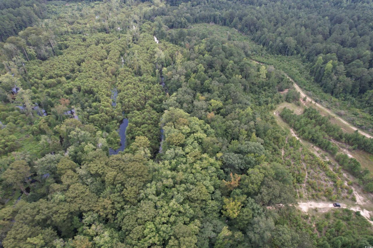 97.83 Acres-tbd Sugar Hill Fox Rd. Photo 4