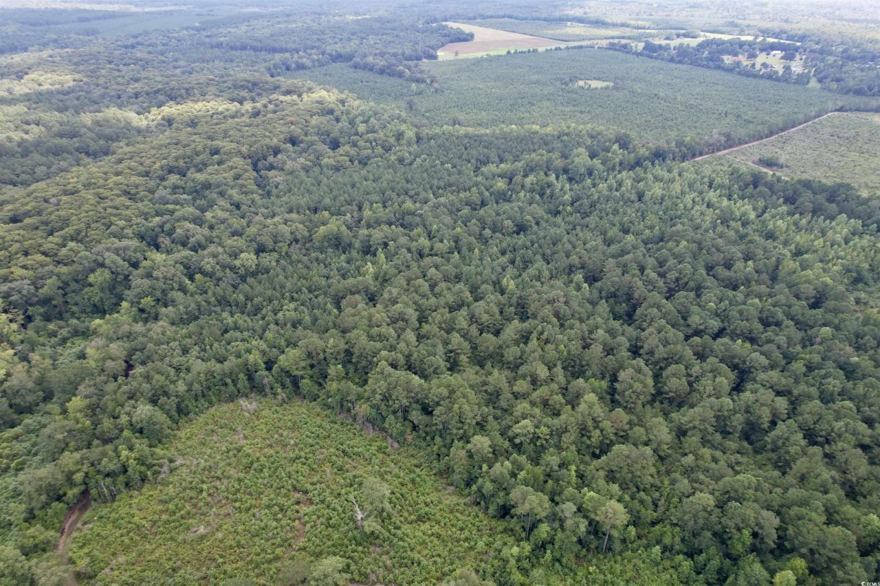 97.83 Acres-tbd Sugar Hill Fox Rd. Photo 6