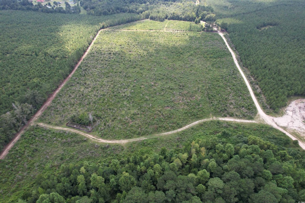 97.83 Acres-tbd Sugar Hill Fox Rd. Photo 9