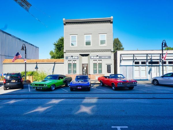 6064 Linfield Avenue SE, Alto, MI 49302