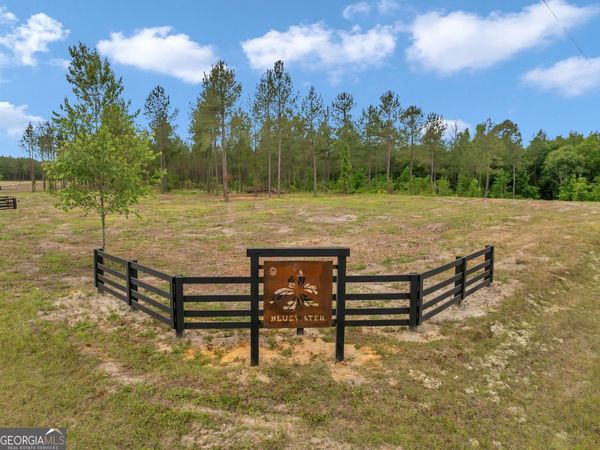 0 Dewey Thomas Road, Unit LOT 2, Dexter, GA 31019