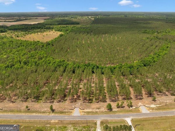 0 Dewey Thomas Road, Unit LOT 3, Dexter, GA 31019