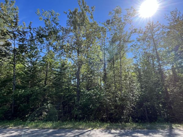 L 177-179 Northland Heights Drive, Presque Isle, MI 49777