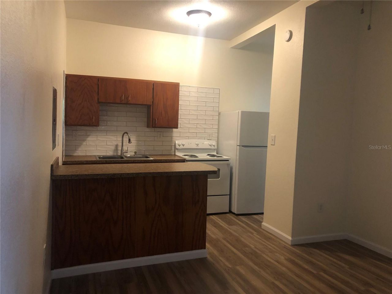 161 W 2nd Avenue, Pierson, FL 32180 Photo