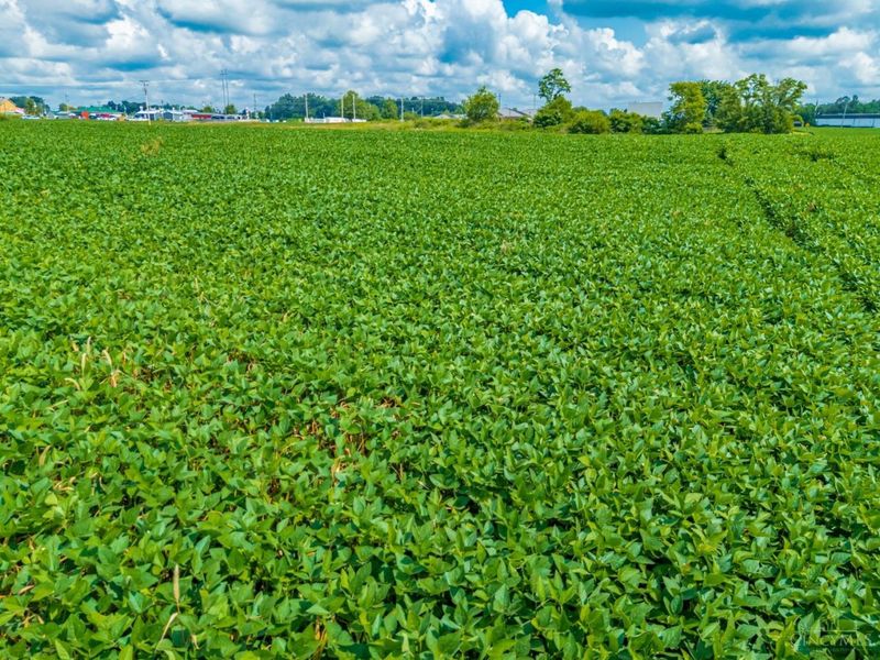 0 Tranquility Pike, Seaman, OH 45679 Photo 15